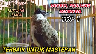 Download lagu KICAUAN TERBAIK Kutilang Gacor Full Isian MEWAH ngerol panjang dengan irama lagu volume pedas mp3 Download lagu KICAUAN TERBAIK Kutilang Gacor Full Isian MEWAH ngerol panjang dengan irama lagu volume pedas mp3