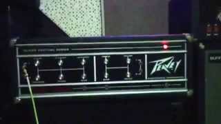 Video thumbnail for Peavey VTA 400 Super Festival with 1972 Fender Musicmaster Bass by MSL Pedals