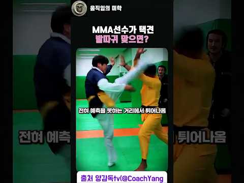 mma선수가 택견 발따귀 맞으면 생기는 일 #taekkyeon