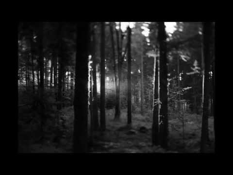 ALTERNATIVE PERSPECTIVE 2 - TEASER - GOLDFINGAH - MIDIFLASH