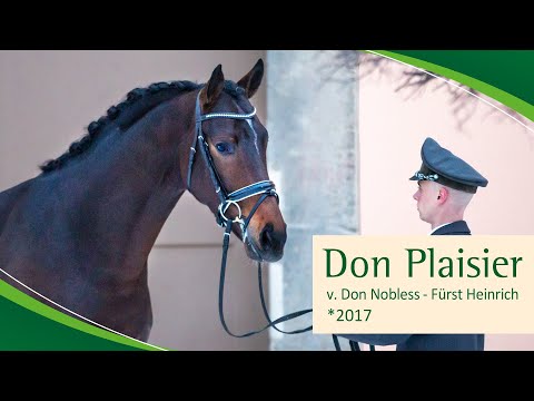 DON PLAISIER v. Don Nobless - Fürst Heinrich