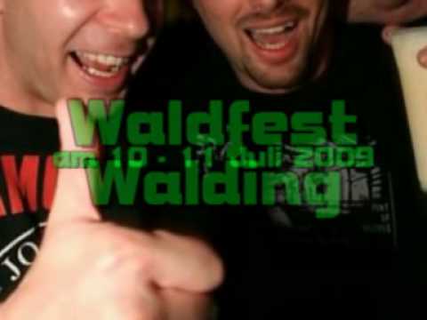 Waldfest Walding 2009