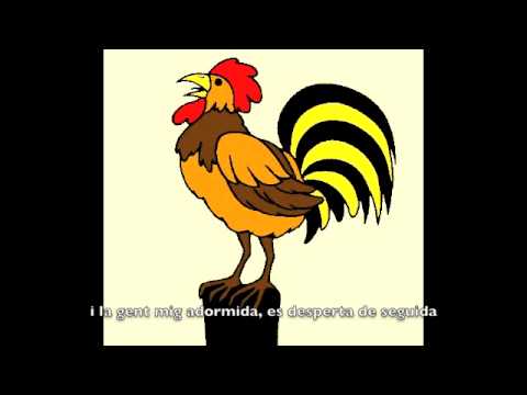 La Guardiola Groga - "Cada Dia al Dematí"