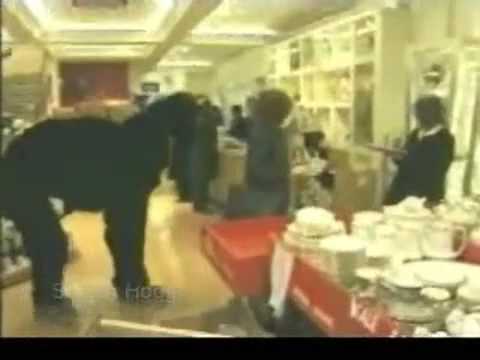 Trigger Happy TV: Bull in a China Shop