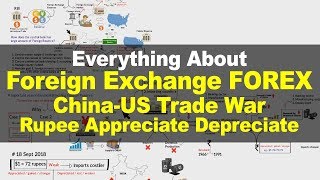 Learn Foreign Exchange Reserves | US-China Trade War | Rupees Appreciate Depreciate