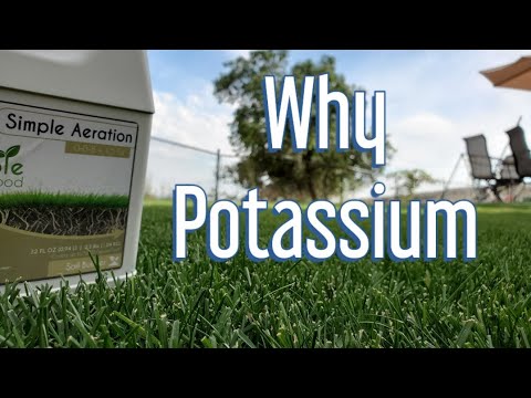 image-What is muriate of potash used for?