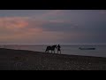 Daniel Caesar Cyanide Remix Ft Koffee Official Music Audio And Video