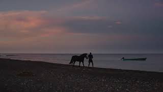 Download lagu Daniel Caesar ' Cyanide Remix ' ft Koffee  Music Audio And Video mp3