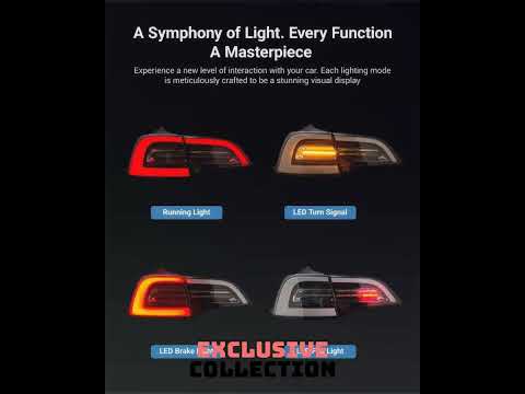 Tesla Model 3/Y Venom Style Tail Lights 丨Stylish Upgrade