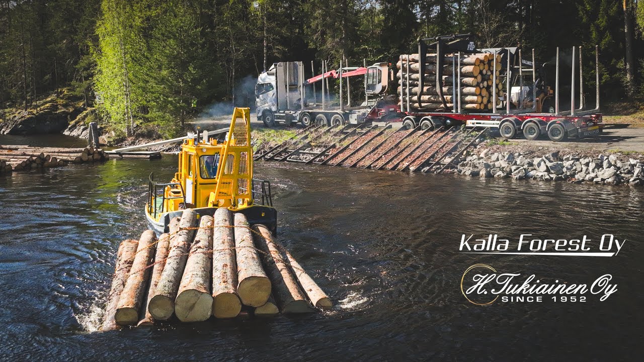 Log Rafting in Finland - A Year In The Journey Of Timber Transport