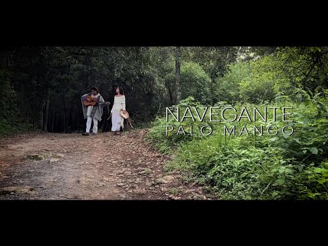 Navegante - Palo Mango (Videolyric)