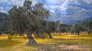 Tres morillas m'enamoran