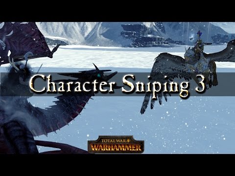 Character Sniping 3 - Witch Hunter and Light Wizard - Total War Warhammer Mechanics