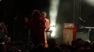 Tripping Daisy   Homegrown 8   2017 - 16 Creature