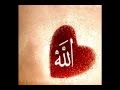 Labbayk ft Yousuf & Coskun - Allahu 