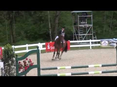 Sportpferde ASG -  Pionier  SPF L  Isny 5-2013