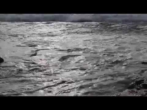 Splendidid - Fruit Salad (Single)