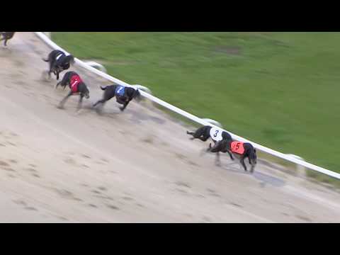 2017 STAR SPORTS DERBY - ROUND 1 HEAT 15 - T5 BLACK ZACK