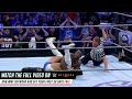 Coolest Wrestling Sequence Ever