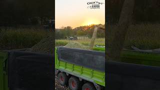 #maisballern #black #masseyferguson #sunset