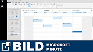 Outlook Appointment and Calendar   (Client)