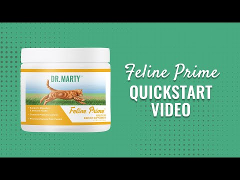 3 Easy Steps to Start Your Cat on Feline Prime