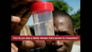 Bill Gates: Mosquitos, malaria and education