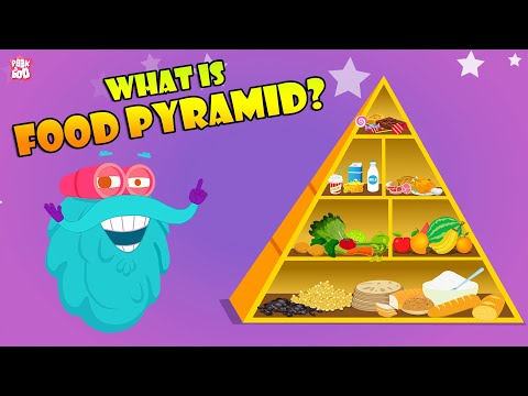 FOOD PYRAMID | How Different Foods Affect Your Body | The Dr Binocs Show | Peekaboo Kidz