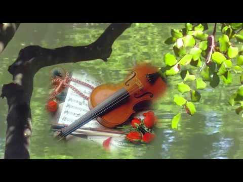 download lagu mp3 mp4 Cserebogár Sárga Cserebogár, download lagu Cserebogár Sárga Cserebogár gratis, unduh video klip Download Cserebogár Sárga Cserebogár Mp3 dan Mp4 Music Online Gratis