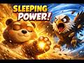 Sleeping Kung Fu The Bear Who Won While Asleep Jungle Animal Fight Animation
