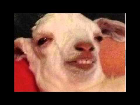 Peter video thumbnail