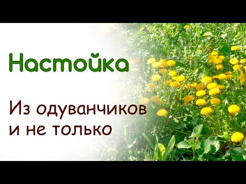 Курорт для лечения остеохондроза Гонартроз i стадии. синовит коленного сустава