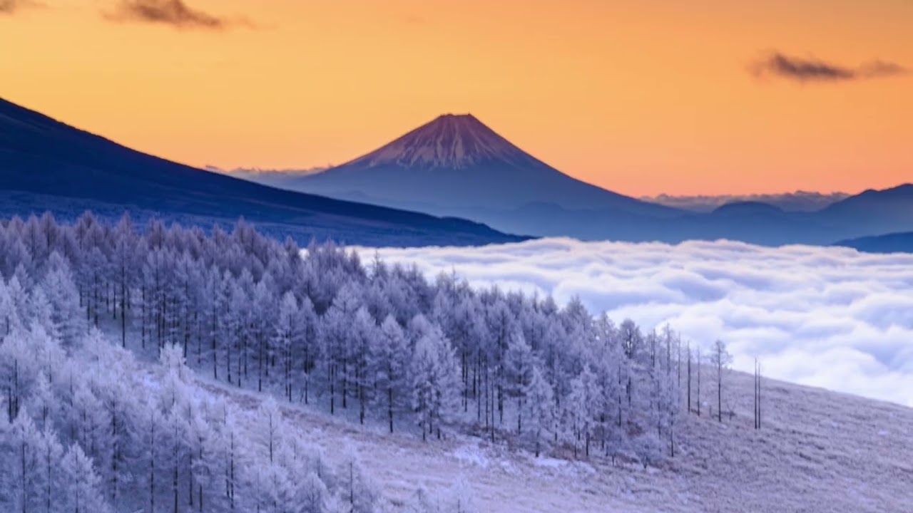 Short Trip Jan / 2026 〜カメラを持って旅を楽しもう〜　by 東京カメラ部