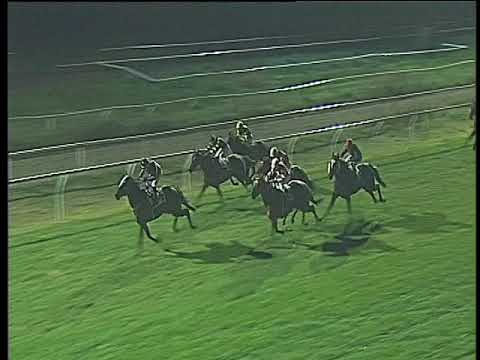 Galoppo 29/11/2017 - 6ª corsa