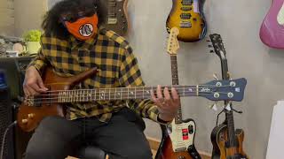 Video thumbnail for Demo WW Dolphin Pro I at Twinbemusic by theoldiesmusics