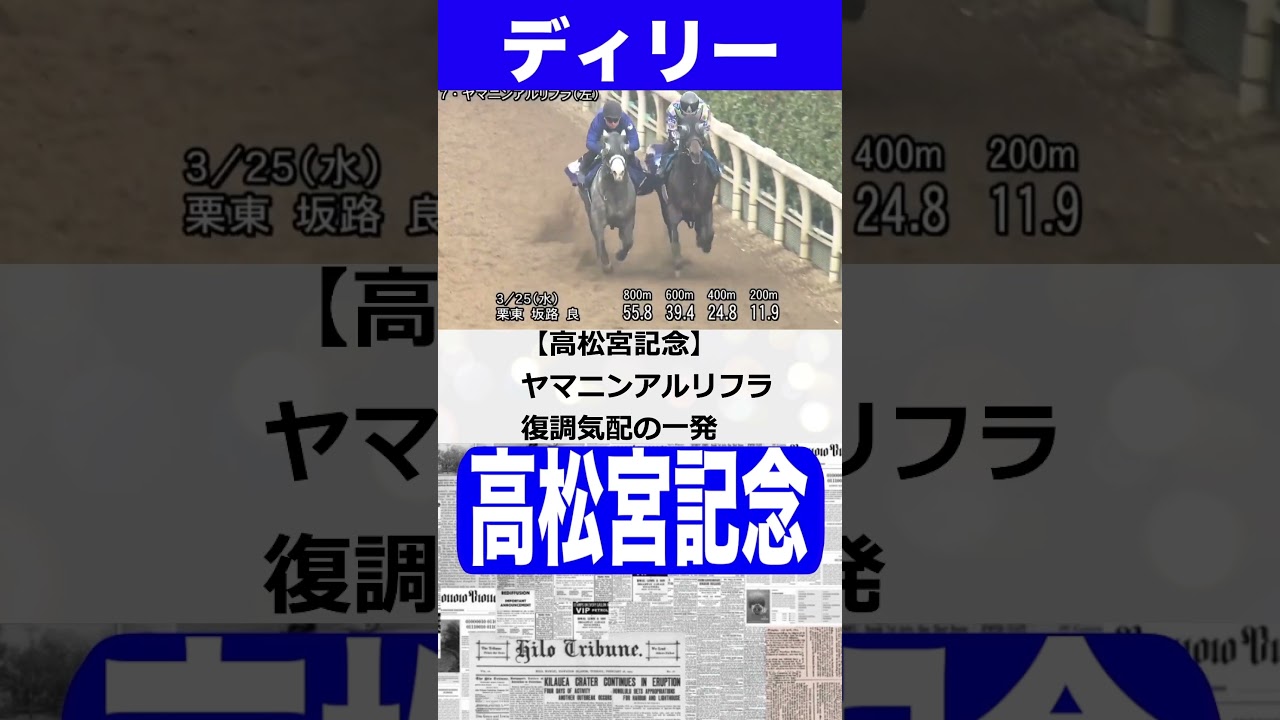 高松宮記念　ニュースまとめと元厩務員　#高松宮記念
