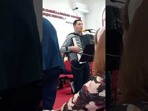 Soră, frate și Prieten care ai Venit - Ioanid Netbai