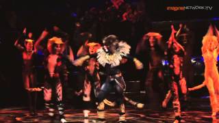 Cats - The Musical: The Rum Tum Tugger
