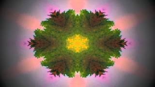 The Seed Coat - Dance To Another Tune (First Aid Kit Cover)