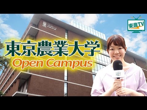 コンピュータ理工学科 【東京農業大学】オープンキャンパスで幅広い学びを体感できる‼︎｜最先端の研究を東京の真ん中で‼︎
