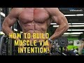 How to Build Muscle via Intention!