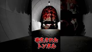 ナニカに寄生されたトンネルから逃げるホラーゲーム