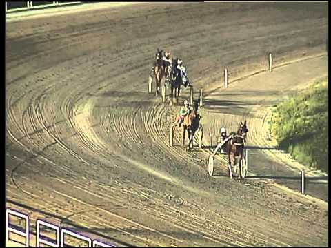 Trotto 07/02/2016 - prova di qualifica