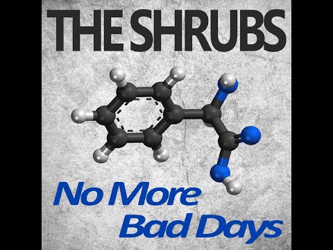 The Shrubs - No More Bad Days Official Video