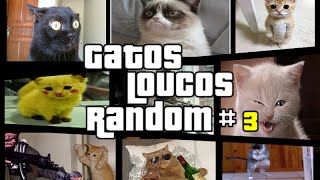Gatos engraçados e Loucos Random #3 - Funny and Crazy Cats