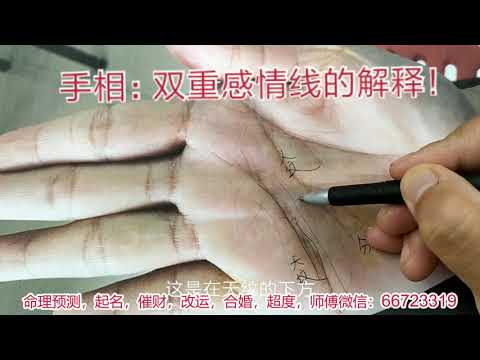 雙重感情線