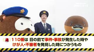 2026/1/27放送・知ったかぶりカイツブリにゅーす