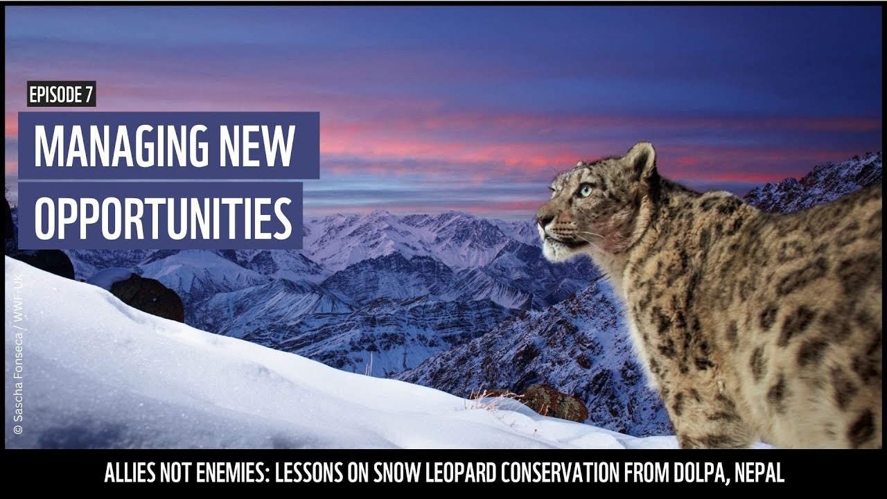 Managing new opportunities