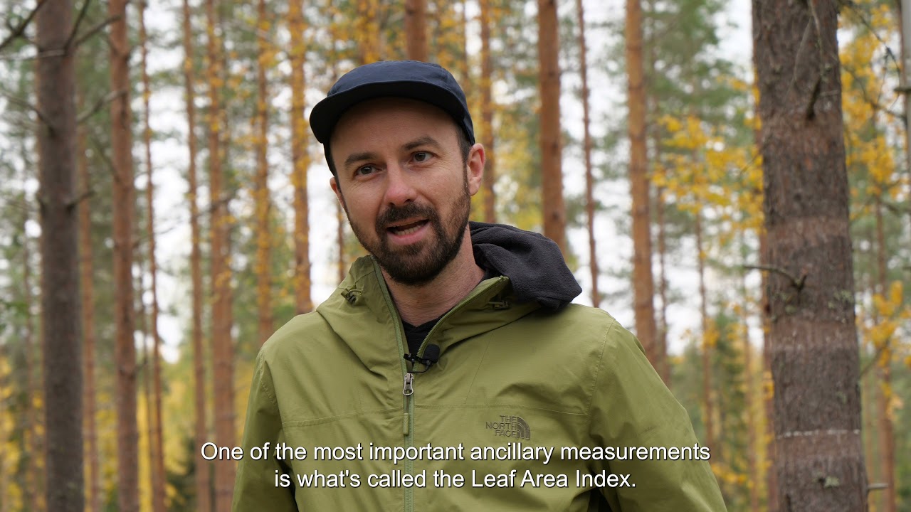 Using drones to measure leaf area index