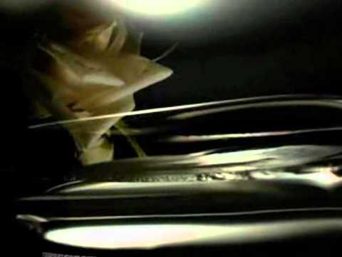 SAMOTNY  PASTERZ.wmv